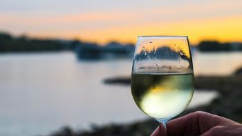 Historia y Características del Vino Blanco